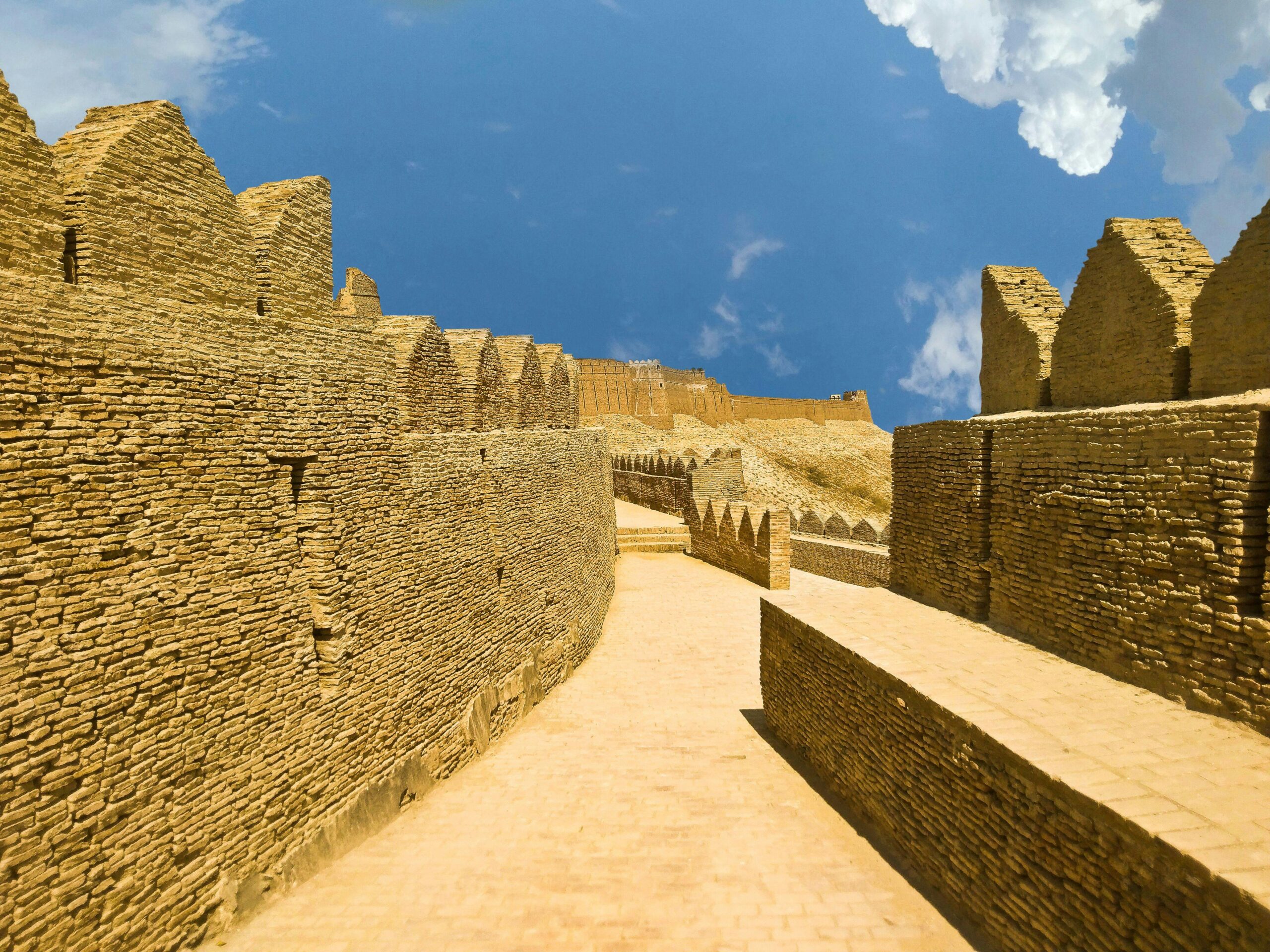 Indus Valley Civilization